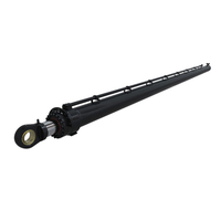 Hydraulic Cylinder for Empty Container Stackers - Heavy Duty Lifting